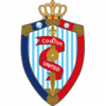 Nantong Haimen Codion badge