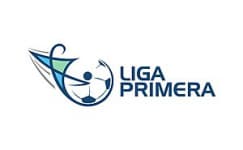 Primera Division badge