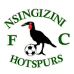 Nsingizini Hotspurs badge