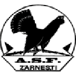 Olimpic Zărneşti badge