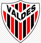 Segunda División badge