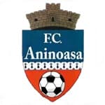 Pucioasa badge