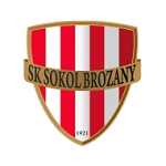 Sokol Brozany badge