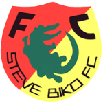 Steve Biko badge
