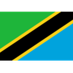 Tanzania U17 badge