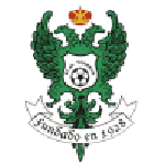 Toledo badge