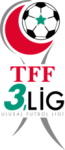 3. Lig - Play-offs badge