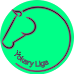 Ýokary Liga badge