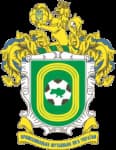 Persha Liga badge