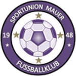 Union Mauer badge