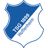 1899 Hoffenheim badge