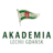 Akademia Piłkarska LG badge