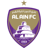Al Ain badge