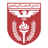 Al Nasar badge