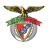 Angrense badge