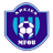 APEJES Academy badge