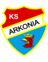 Arkonia U19 badge