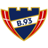 B 93 W badge