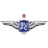 Bangkok United badge