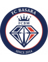 Basara Hyogo badge