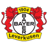 Bayer Leverkusen U19 badge