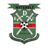 BDF XI badge