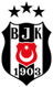 Beşiktaş U19 badge