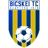 Bicskei badge