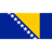 Bosnia & Herzegovina badge