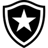 Botafogo U20 badge