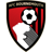 Bournemouth badge