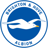 Brighton U18 badge