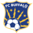 Buffalo badge