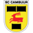 Cambuur badge