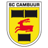 Cambuur U21 badge
