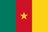 Cameroon badge