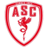Cannes badge