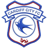 Cardiff badge