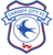 Cardiff City U21 badge
