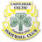 Castlebar Celtic badge
