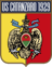 Catanzaro U19 badge
