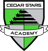 Cedar Stars W badge