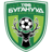 Central Stallions badge