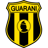 Club Guarani badge