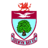 Colwyn Bay badge