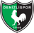 Denizli İYG badge