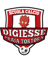 Digiesse PraiaTortora badge