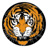 Eastern Suburbs badge