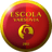 Escola Varsovia U19 badge