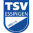 Essingen badge